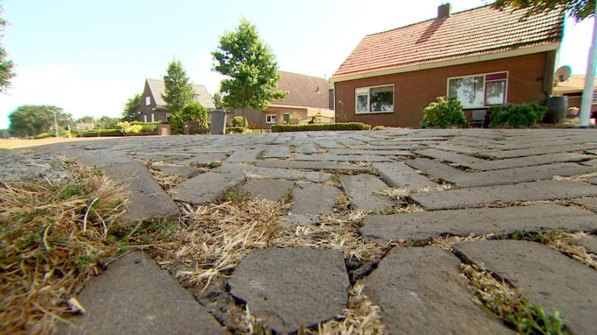 Maat is vol voor bewoners aan de Tramwijk in Nieuw-Weerdinge
