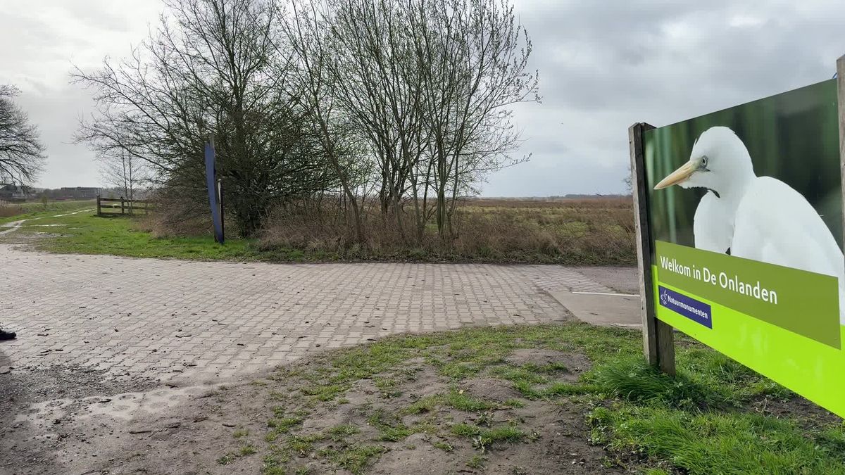 Marks Minuutje: hazen en een roerdomp in de Onlanden