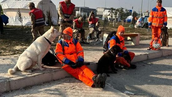 Deze honden uit Duiven kunnen levens redden in Venezuela