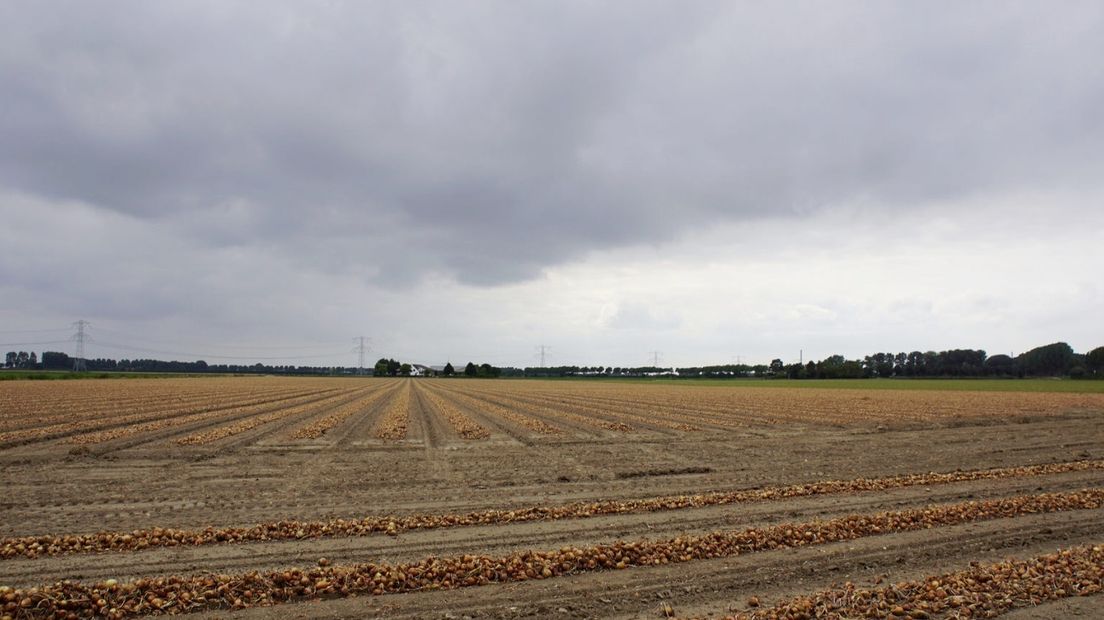Bij 's-Heerenhoek: grijs en bewolkt