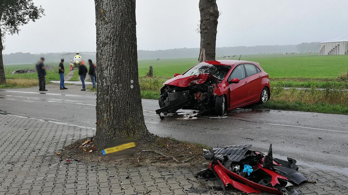 Autobestuurder gewond na botsing met boom in Zwiggelte