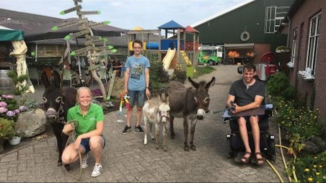 Dagbesteding op de Maargieshoeve