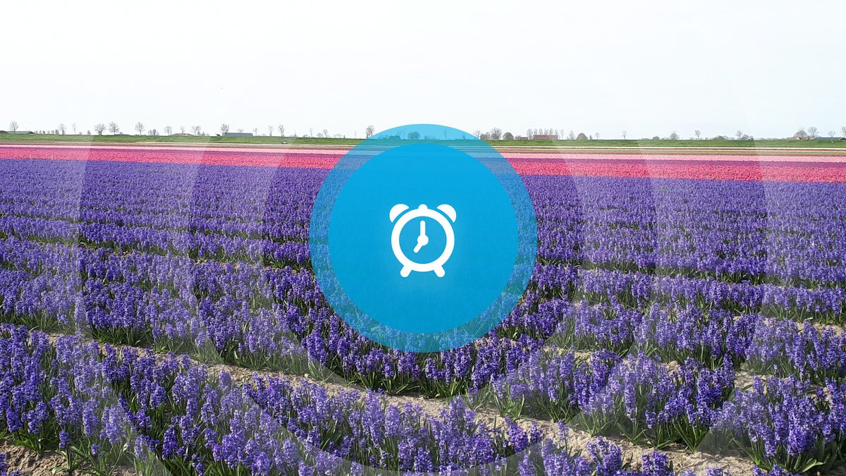 Goedemorgen! Scenarioschrijver uit Scherpenisse, JVOZ in Spanje en werkzaamheden Schroebrug