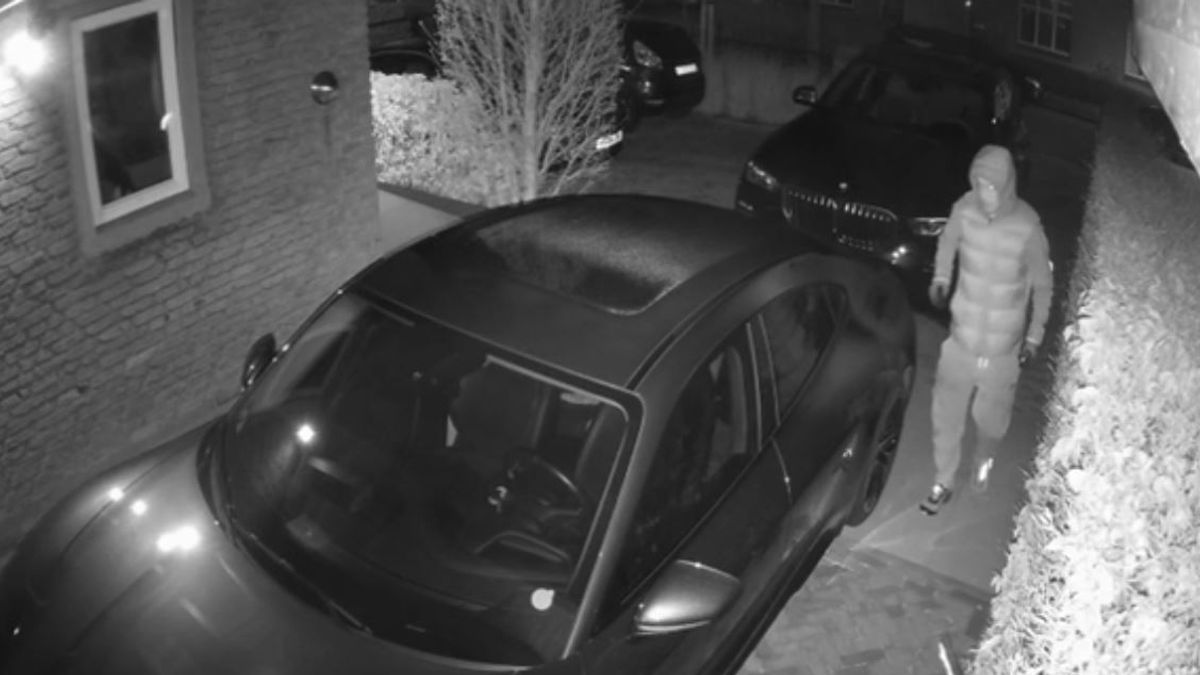 Dief met werkhandschoenen plukt autospiegels in Hengelo