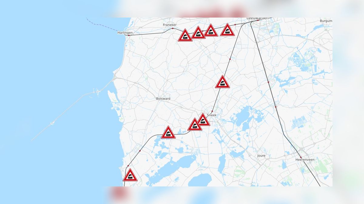 OVERZICHT: Dit zijn de 9 openbare, onbeveiligde spoorovergangen in Fryslân