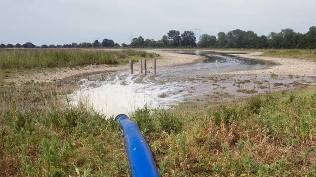 Natuurmonumenten pompt water polders bij Hoedekenskerke in om pas uitgekomen kuikens te redden van de droogte