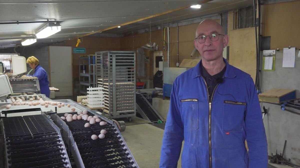 Pluimveehouder Evers in Hezingen maakt zich zorgen over vogelgriep