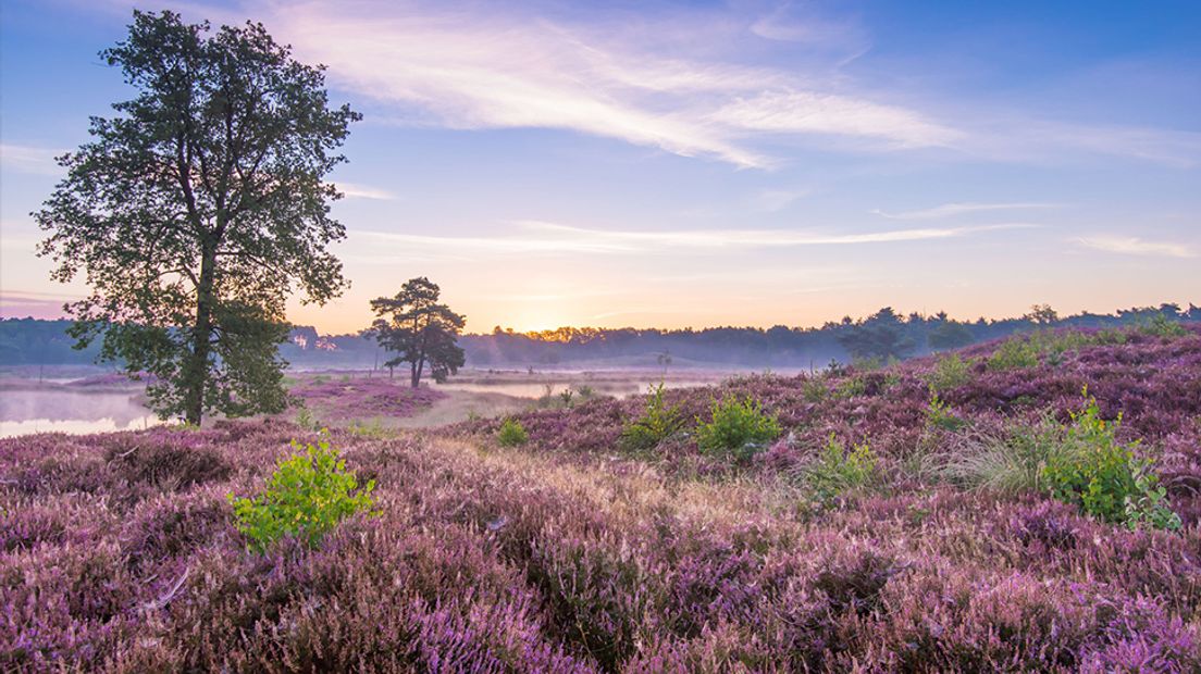 Fotograaf: Gilbert de Bruijn