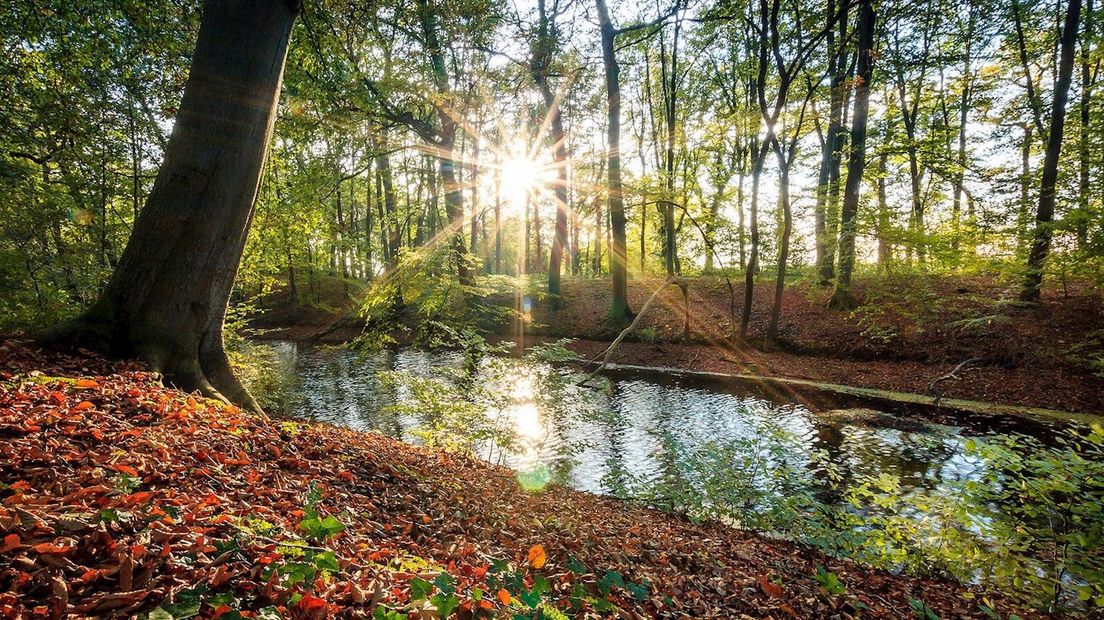 1e prijs wedstrijd 'Mooiste herfstfoto 2014'