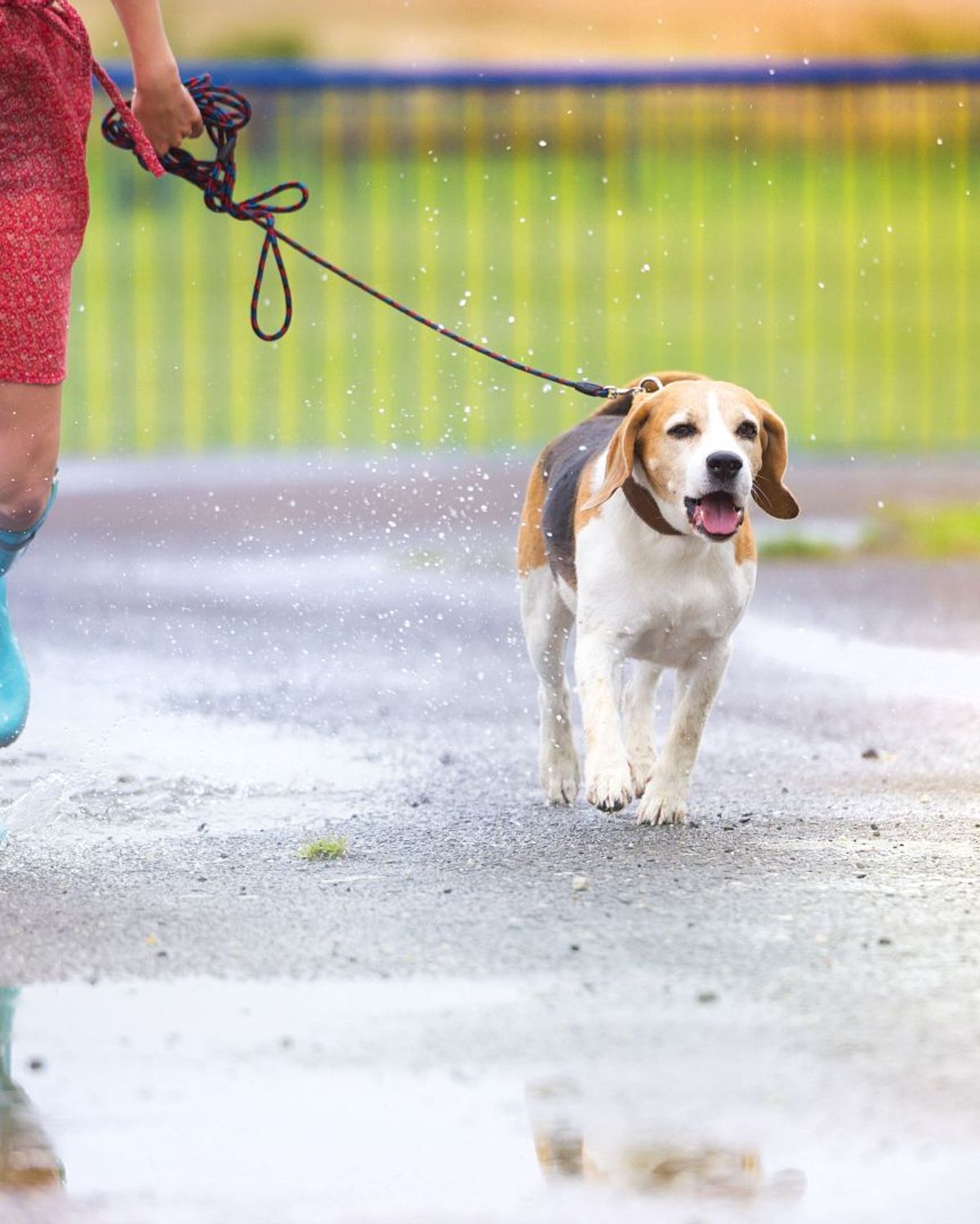 Metalen Bordje 'Laat Uw Hond Niet Plassen Op Het Hek!' – Buitenbord Van Aluminium, 15 X 20 Cm, Weerbestendig Voor Tuin En Erf