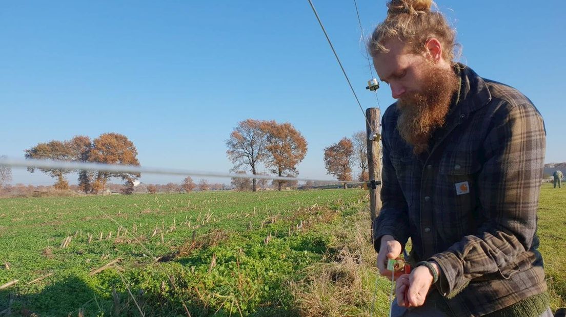 Jos Hoekerswever in de weer met het wolvenraster