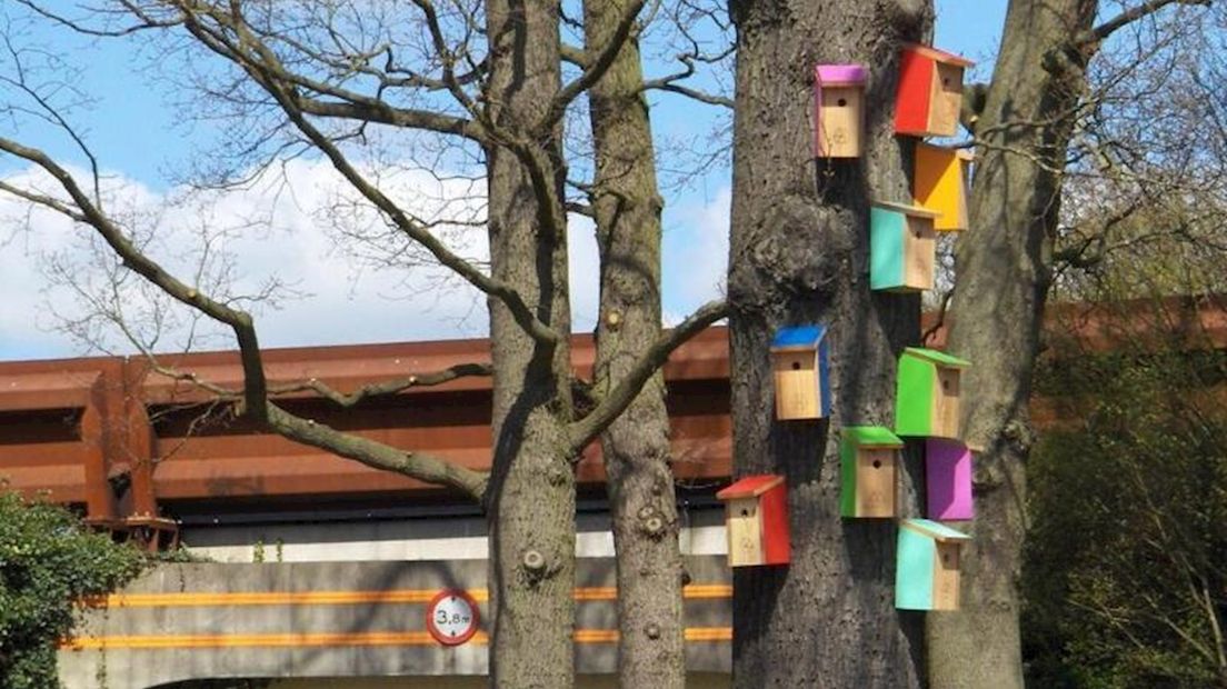Mysterie rond vogelhuisjes Zwolle ontrafeld