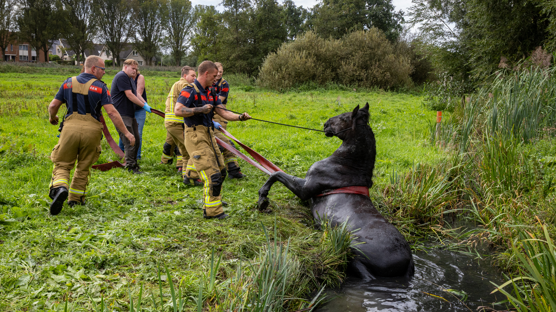 Volgens 112-correspondenten kwam het paard met ruiter en al in het water terecht.