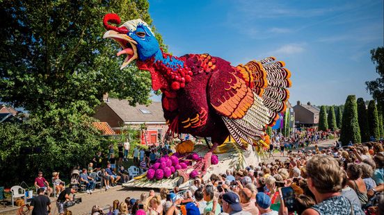 Kleurrijke dahliareuzen van corso Sint Jansklooster te zien bij RTV Oost Nieuws