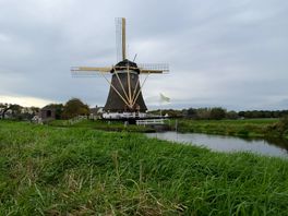 Utrechts Landschap komt met opknaplijst voor molens: ‘Hopelijk kan ik bij een andere molen meedraaien, zodat ik mijn vaardigheden niet verleer’