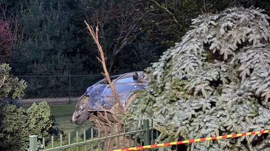 Auto belandt in tuin van verbaasde bewoners Home