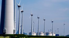 Milieucommissie: nieuw windpark bij Eemshaven verstoort leefgebied Waddenvogels