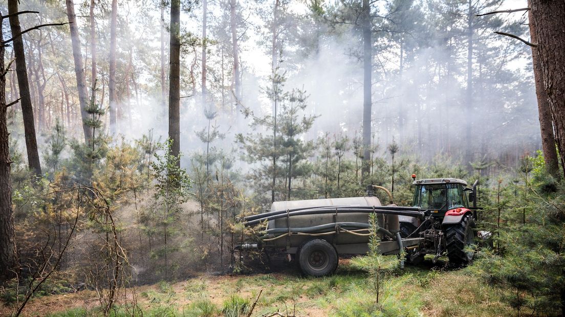 Brand in bos tussen Dalfsen en Vilsteren