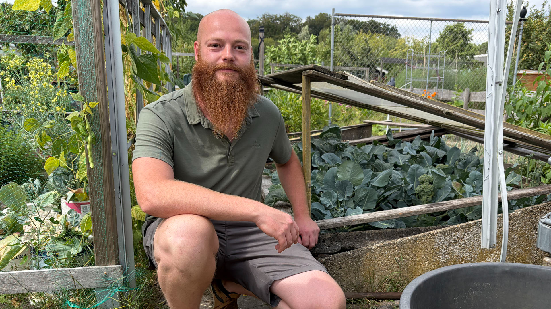 Moestuinders zien oogst verdrogen: 'Regentonnen staan al een tijd leeg'