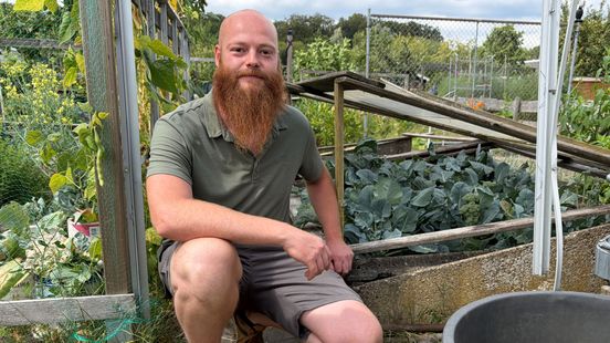Moestuinders zien oogst verdrogen: 'Regentonnen staan al een tijd leeg' Home