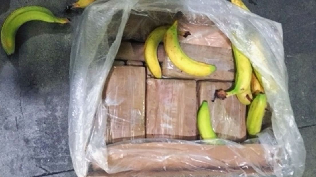Nog meer drugs gevonden tussen de bananen: 97 kilo cocaïne