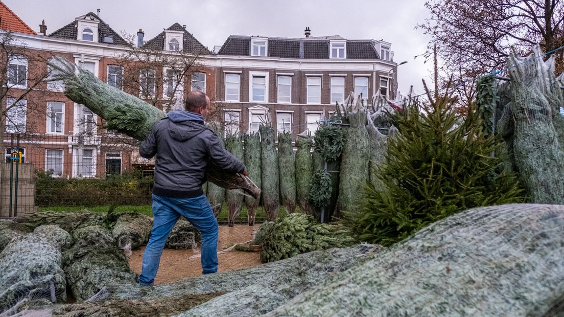 Ondernemers geven kerstbomen weg (foto ter illustratie)