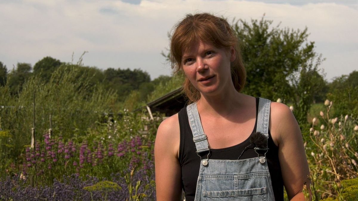 Biologische bloemenkweker: 'Ik leg me neer bij het feit dat er in de winter geen bloemen zijn'