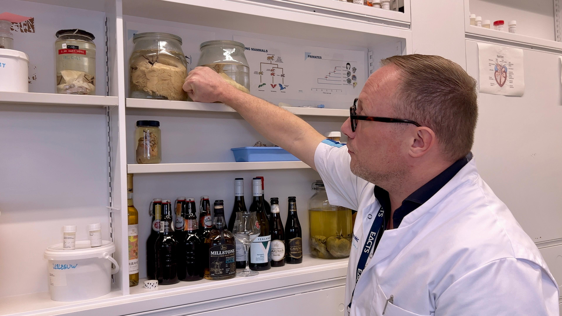 Twee mensenharten die veel groter zijn dan normaal.