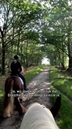 Knooppunten voor ruiters