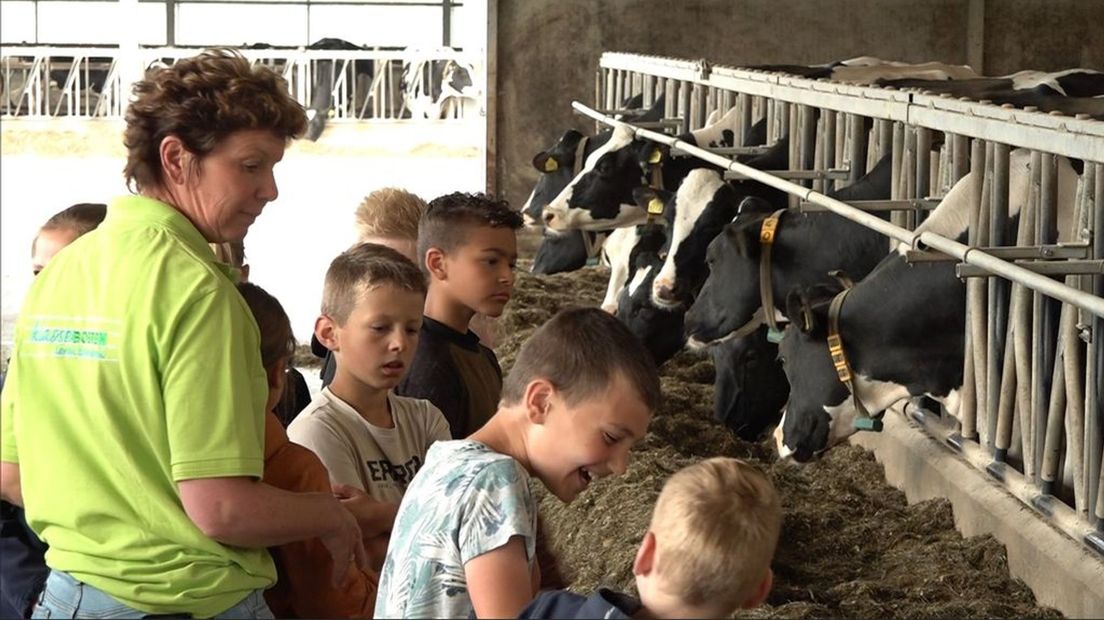 Kinderen op bezoek bij boerenbedrijven.