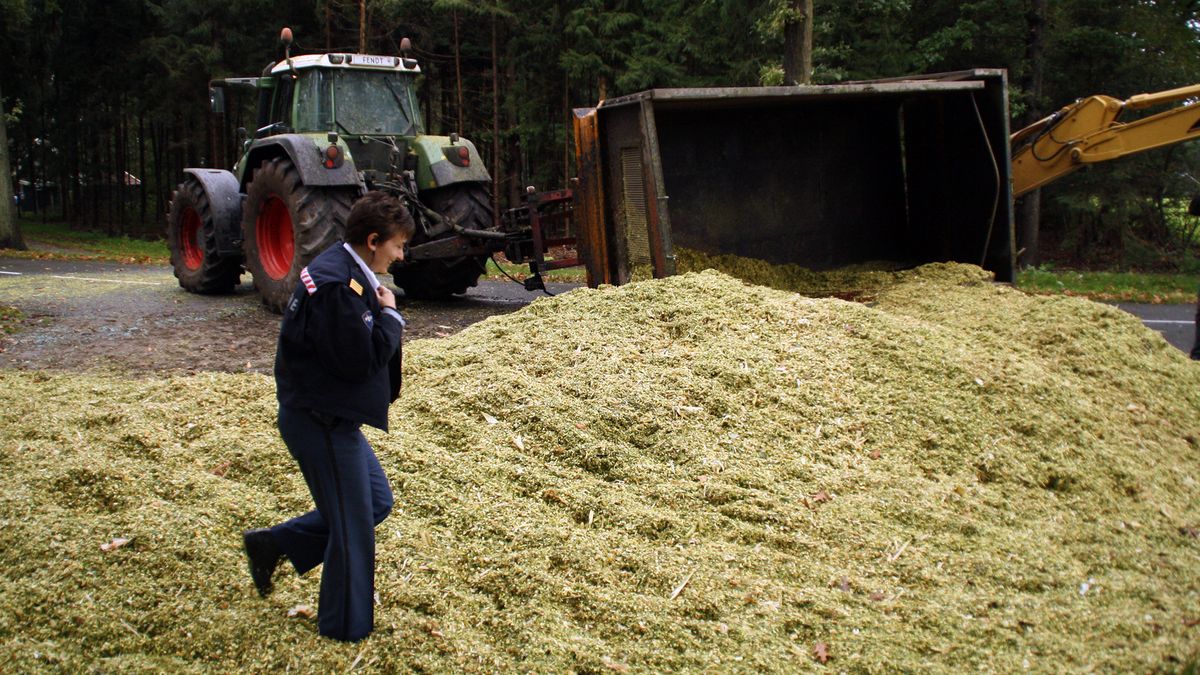 Aanhanger met maïs gekanteld