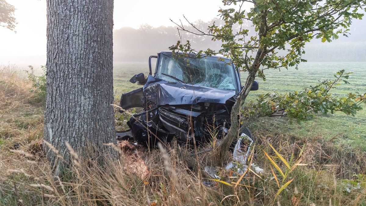 Bestelbus botst tegen boom bij Vinkega
