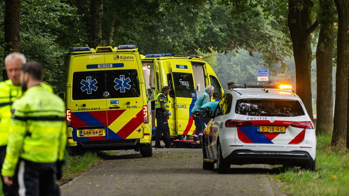 Fietser overlopen door een koe in Boornburgum