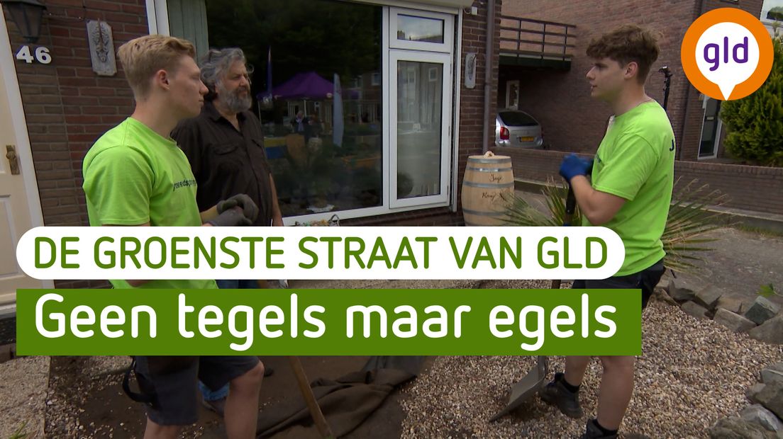 De Groenste Straat van Gelderland - Ammerzoden