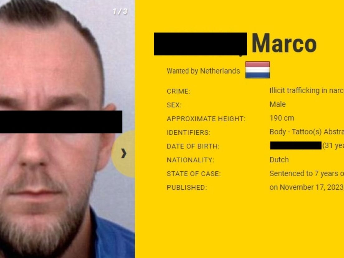 Marco E.
