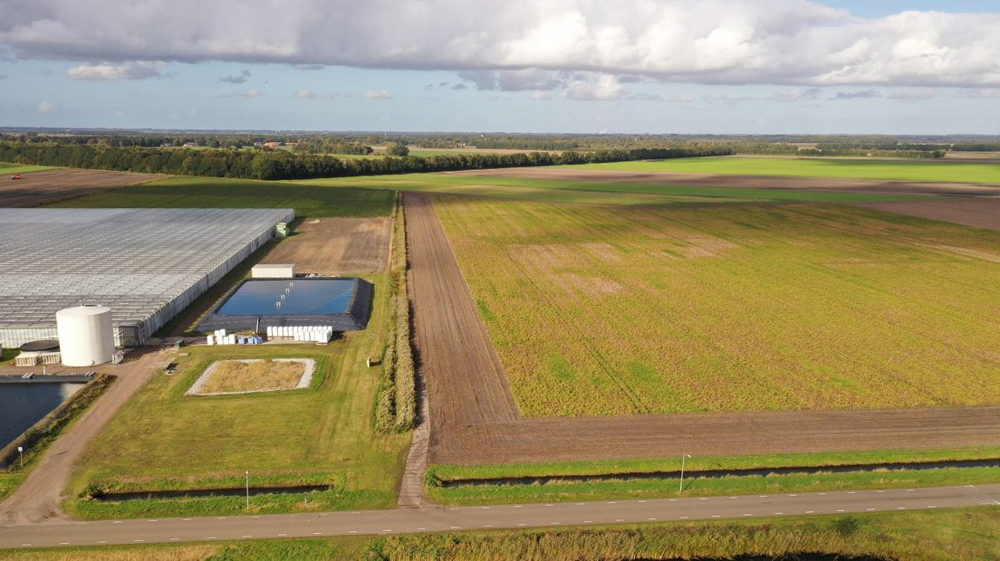 De zonneparken zouden naast de kassen kunnen worden aangelegd