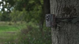 Wildcamera Drentsche Aa