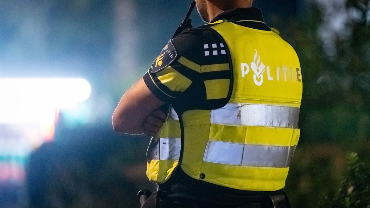 Vrouw (49) uit Oostburg bemoeit zich met ruzie en mishandelt twee agenten