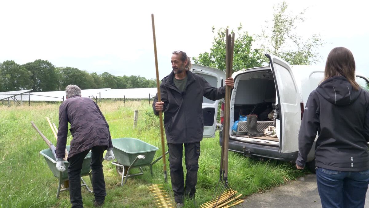 Internationale belangstelling voor Energietuin in Assen