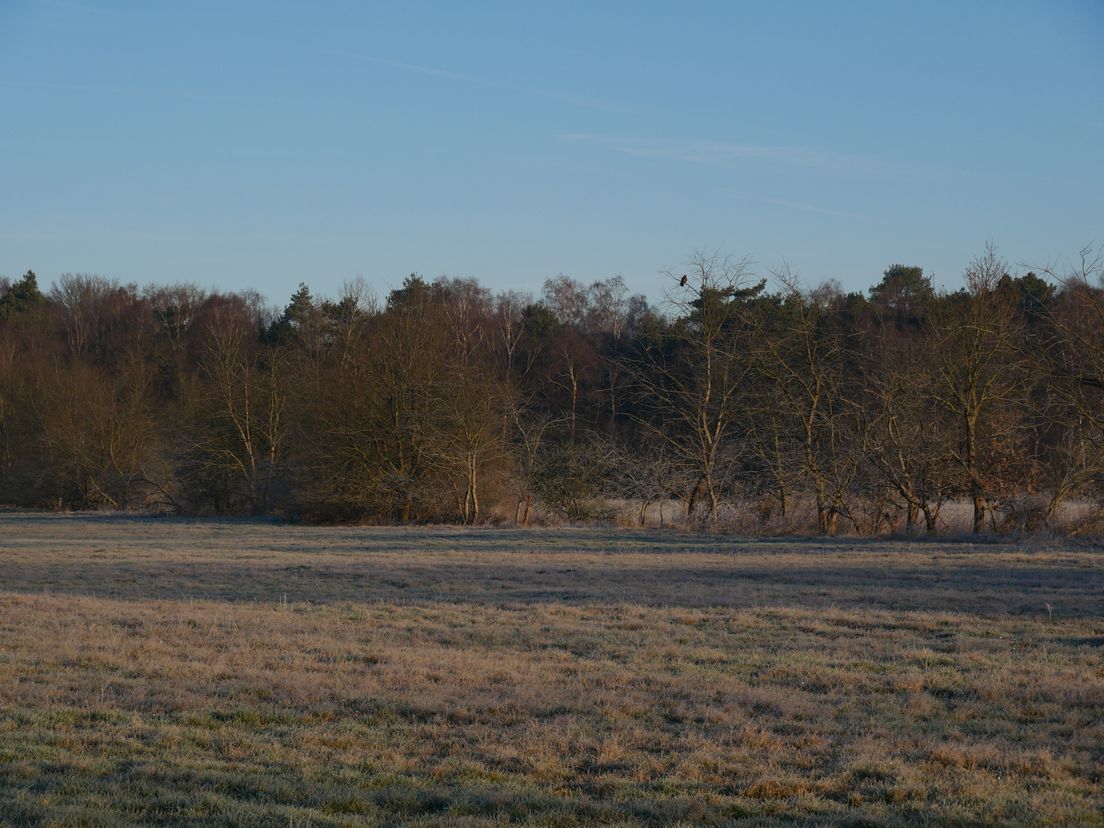 Nieuwe gebiedsvisie Holtingerveld zorgt voor verdeeldheid: 'We schrikken van de wensen'