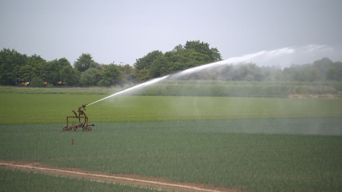 Droogte dwingt waterschap tot verbod op wateronttrekking in Zeeland