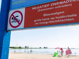 Grote Rietplas bij Emmen weer veilig; blauwalgen vormen geen risico meer