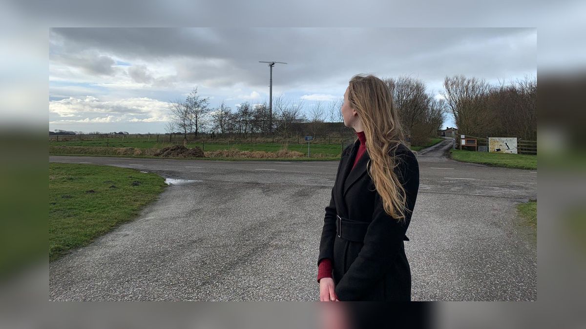 Petitie tegen nieuwe windmolen bij vogelopvang Moddergat ruim 500 keer ondertekend
