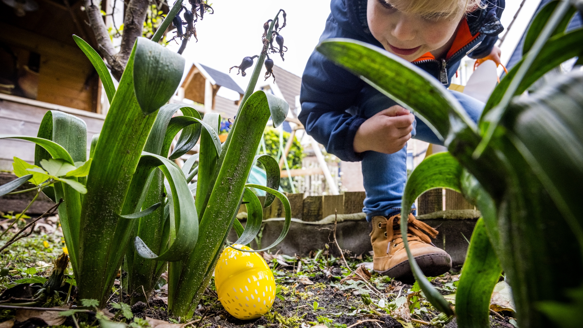 Dit is er te doen met Pasen in Groningen - RTV Noord