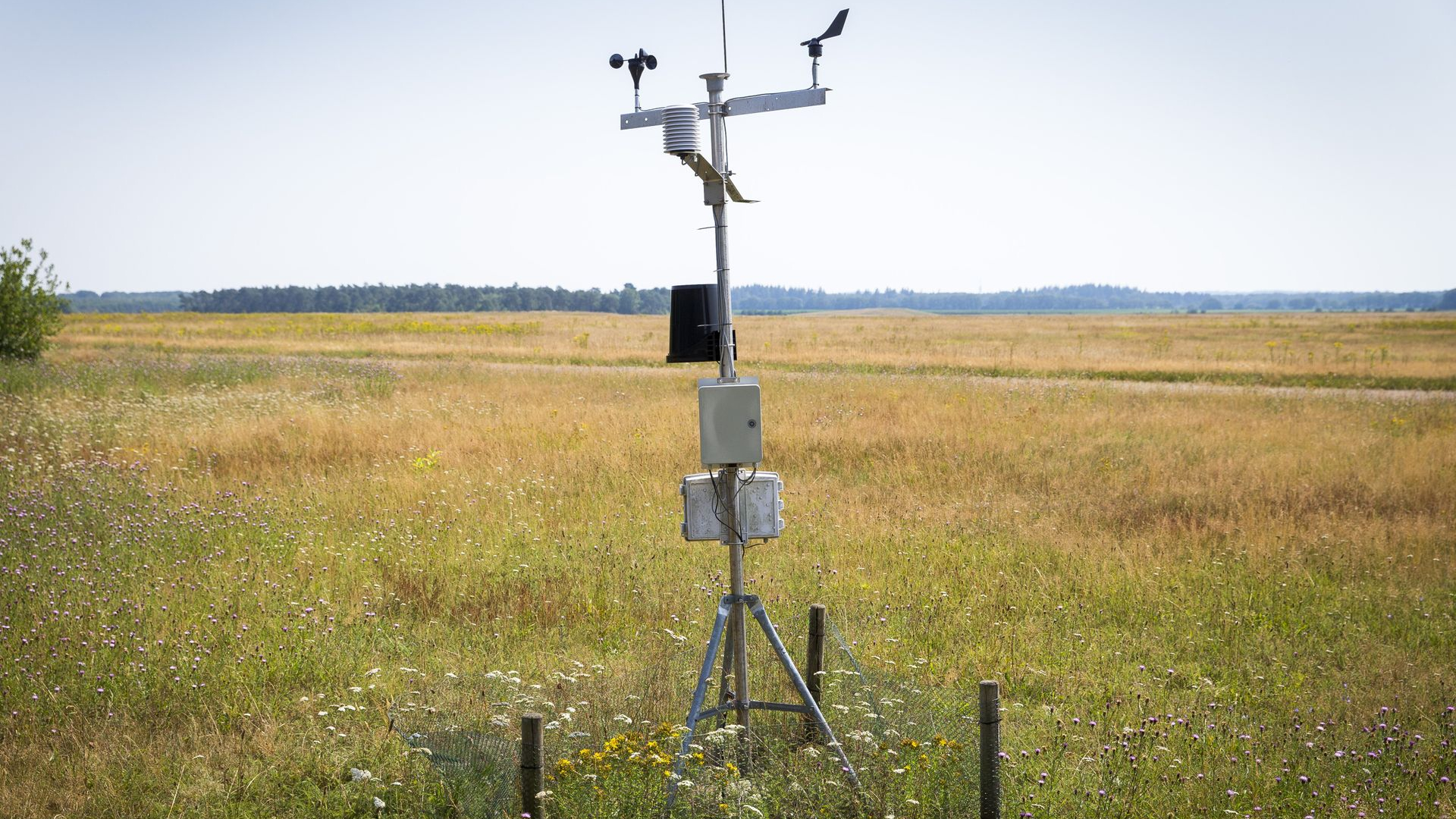 41,7 graden in Deelen? Bizar record blijft mysterieus