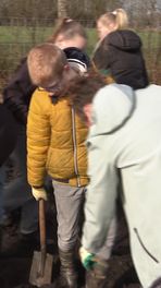 Eerste bomen van nieuw bos