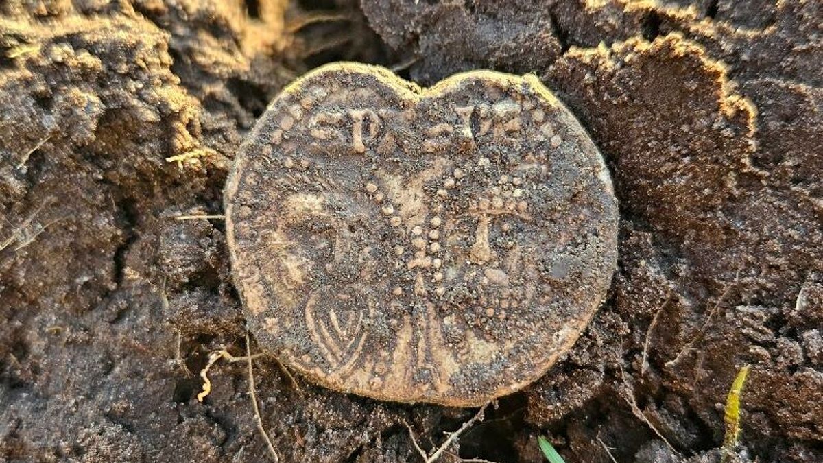 Man met metaaldetector doet unieke vondst van bijna 600 jaar oud bij Rinsumageast