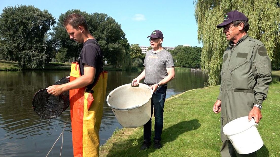 Hengelsportvereniging helpt bij jacht op rivierkreeft.