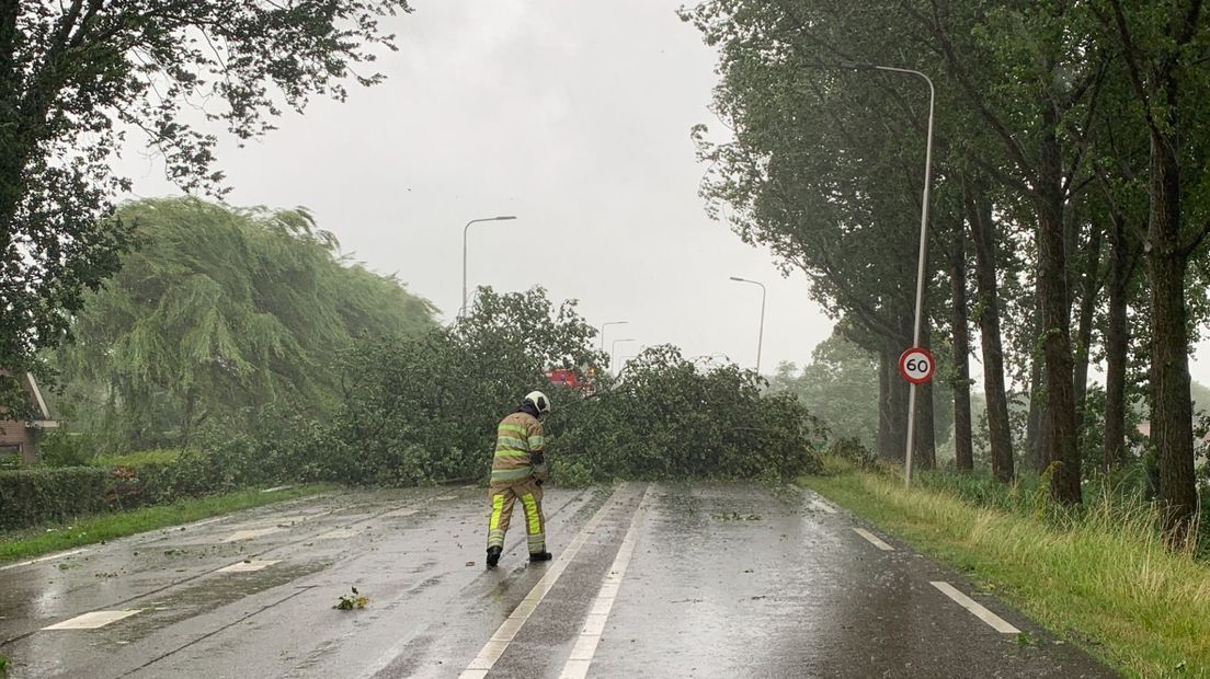 Een omgevallen boom op de N212 bij Wilnis