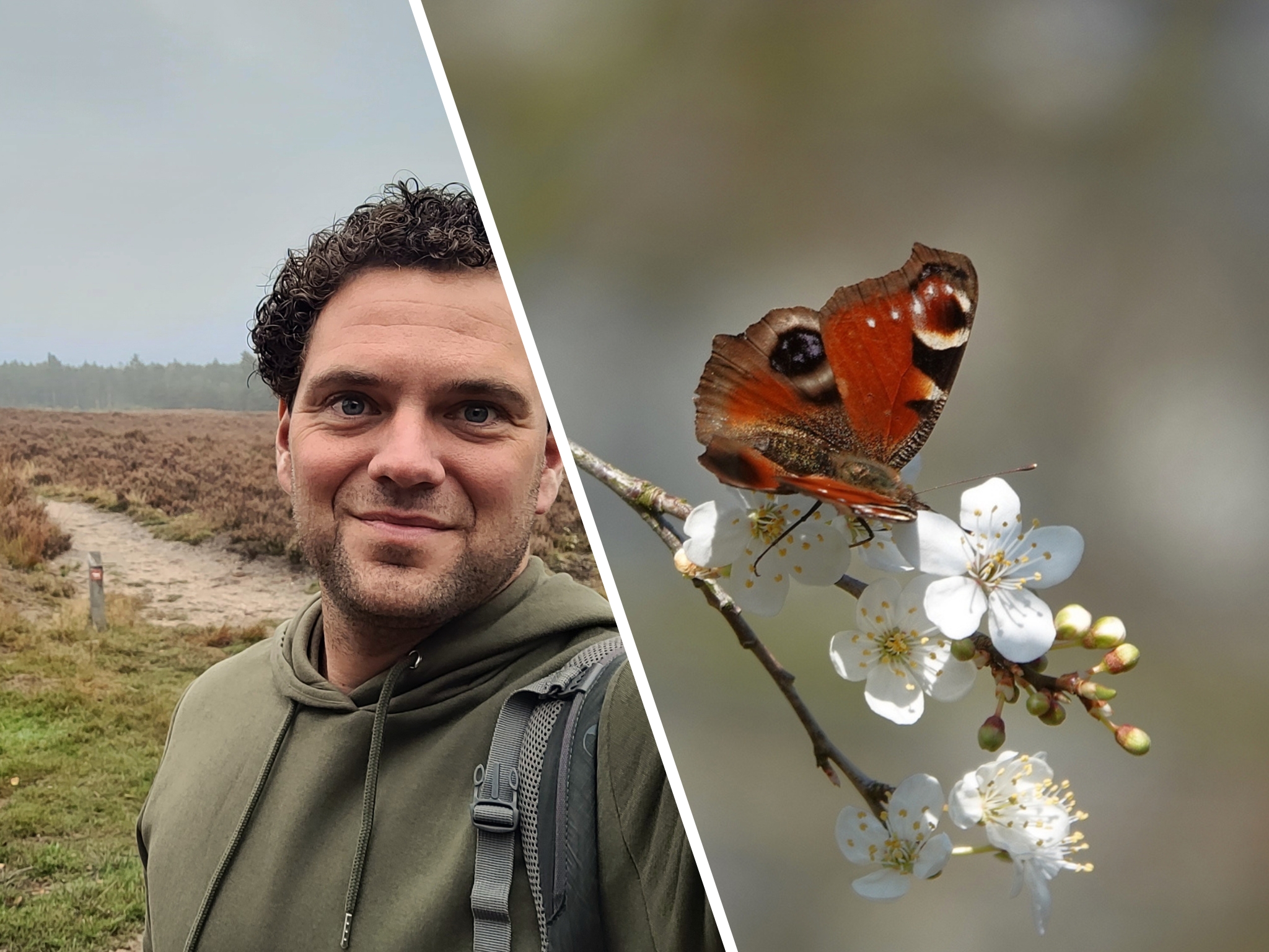 Boswachter Paul: 'Vlinders zijn klaar voor de lente, maar vorst zou desastreus kunnen zijn'
